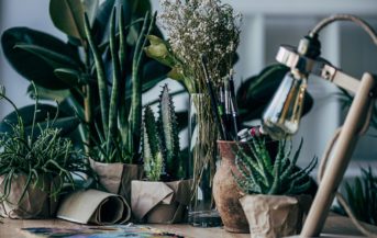 多肉植物のある暮らし